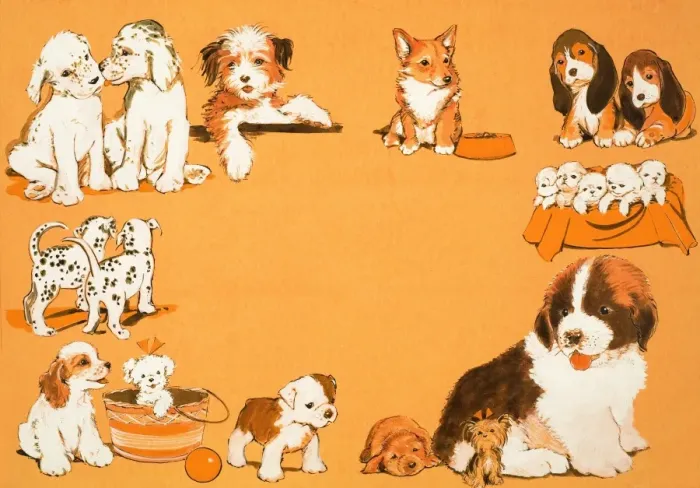 Framed Print : Puppy dogs Framed Print : Puppy dogs