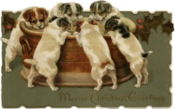Framed Print : Pups Round a Bran Tub Framed Print : Pups Round a Bran Tub