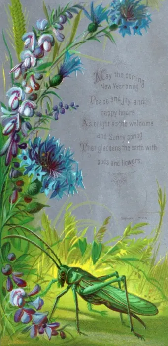Framed Print : Purple and blue flowers with grasshopper on a New Year card Framed Print : Purple and blue flowers with grasshopper on a New Year card