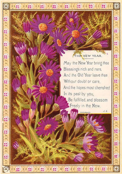 Purple daisies on a New Year card