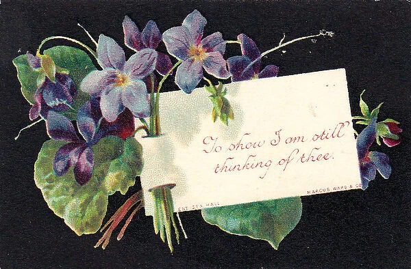 Purple flowers on a greetings card