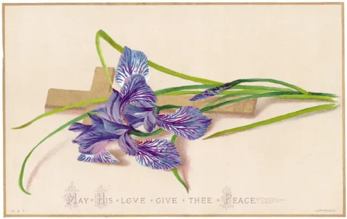 Framed Print : Purple lily and a cross on an Easter card Framed Print : Purple lily and a cross on an Easter card