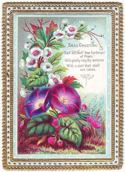 Purple and white flowers on a Christmas card