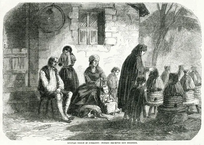 Framed Print : Putting bee-hives into mourning 1856 Framed Print : Putting bee-hives into mourning 1856