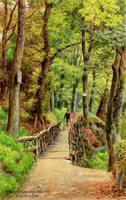 Framed Print : Pwllycrochan Woods, Colwyn Bay, Clwyd, North Wales Framed Print : Pwllycrochan Woods, Colwyn Bay, Clwyd, North Wales