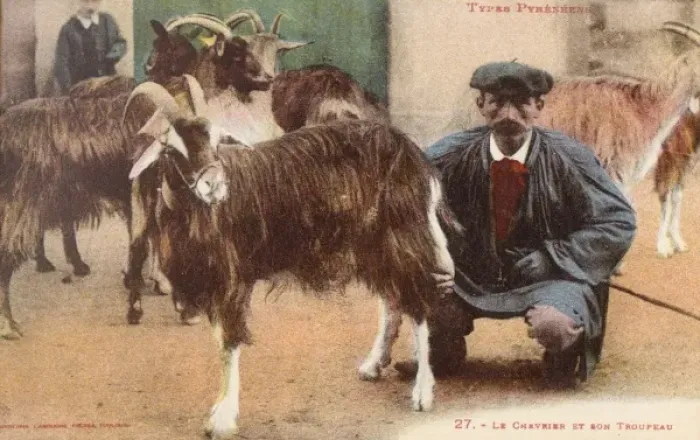 Framed Print : Pyrenean Goat Shepherd and his Flock Framed Print : Pyrenean Goat Shepherd and his Flock