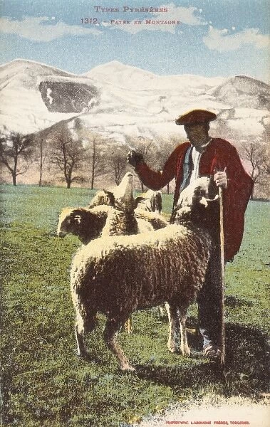 Pyrenean Shepherd and his flock
