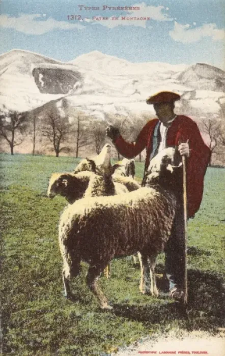 Framed Print : Pyrenean Shepherd and his flock Framed Print : Pyrenean Shepherd and his flock