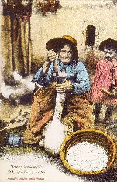 Pyrenean Woman force-feeding a goose
