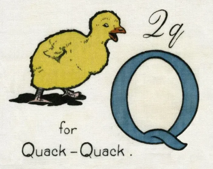 Framed Print : Q for Quack Quack Framed Print : Q for Quack Quack
