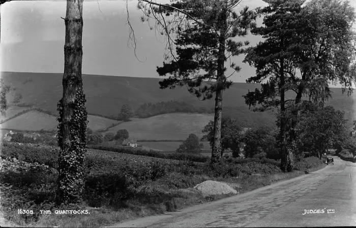 Framed Print : The Quantocks Framed Print : The Quantocks