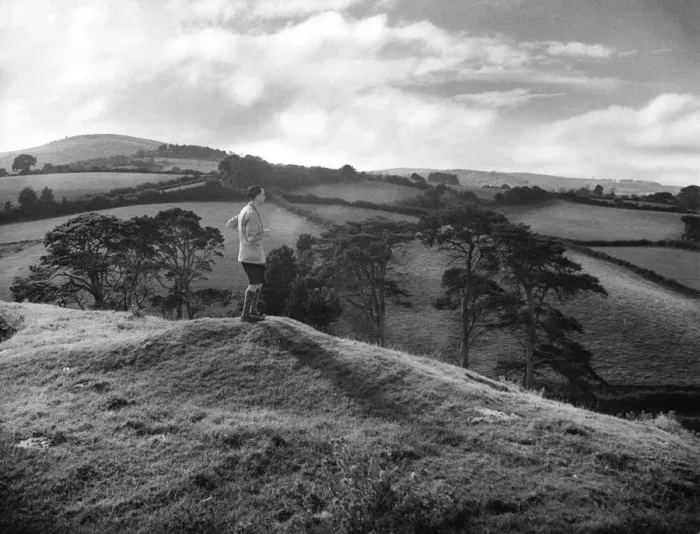 Framed Print : Quantocks Rambler Framed Print : Quantocks Rambler