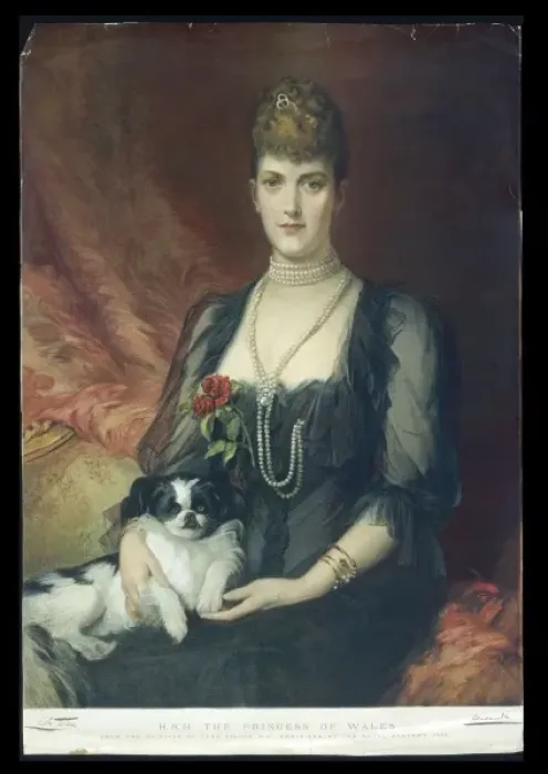 Framed Print : Queen Alexandra Framed Print : Queen Alexandra