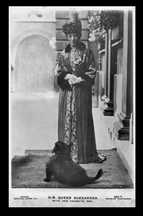 Framed Print : Queen Alexandra with her favourite dog
