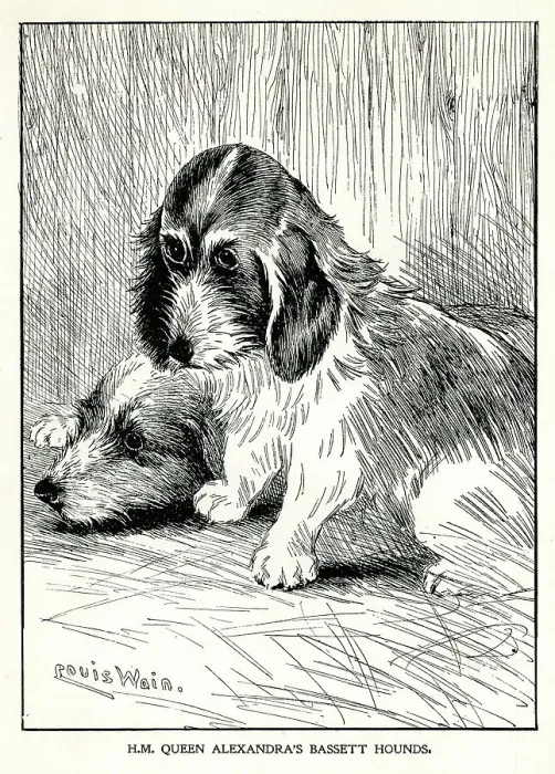 Framed Print : Queen Alexandra's Bassett hounds Framed Print : Queen Alexandra's Bassett hounds