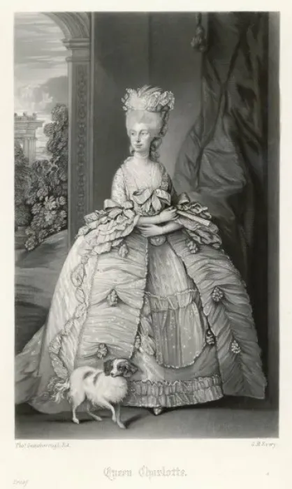 Framed Print : Queen Charlotte / Every Framed Print : Queen Charlotte / Every