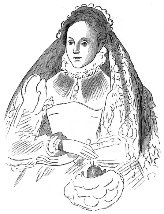 Framed Print : Queen Elizabeth I