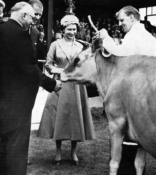 Queen Elizabeth II receiving the gift of a cow, 1957