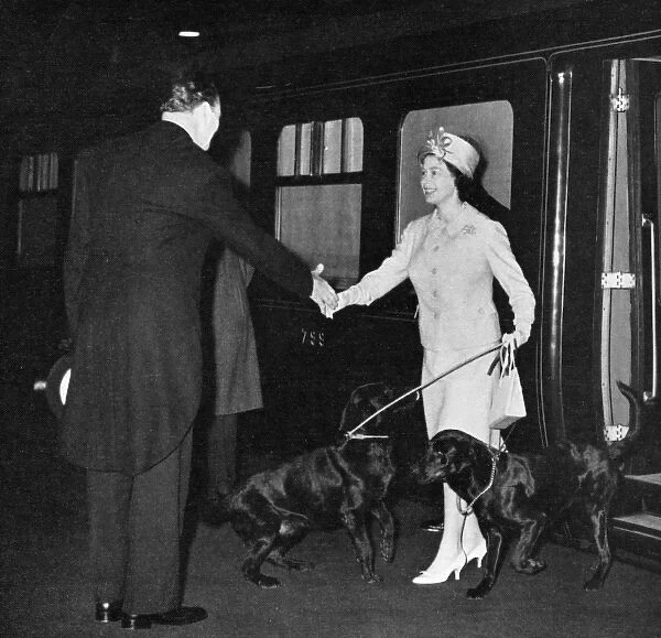 Queen Elizabeth II returns from Balmoral with dogs