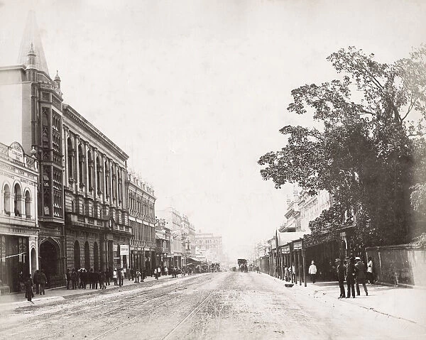 Queen Street, Brisbane, Queensland, Australia, 1880 s
