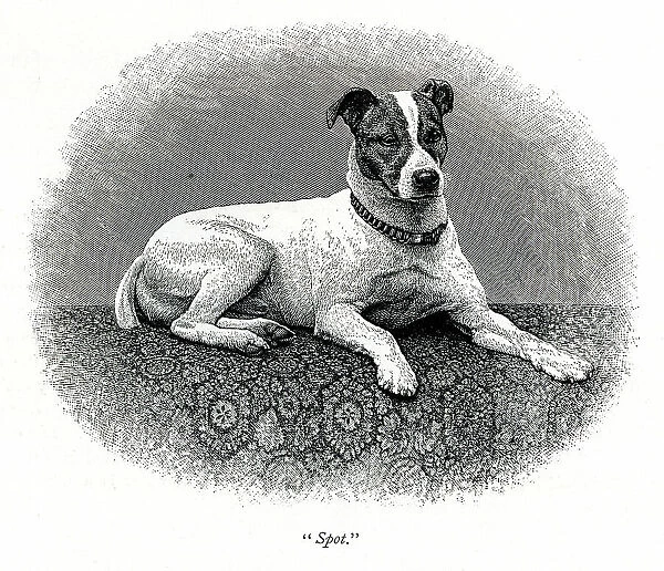 Queen Victoria's dog Spot