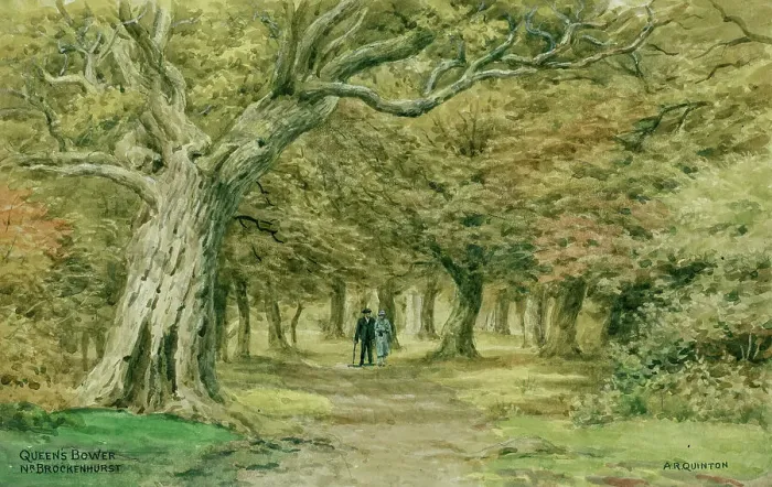 Framed Print : Queen's Bower, near Brockenhurst, New Forest, Hampshire Framed Print : Queen's Bower, near Brockenhurst, New Forest, Hampshire