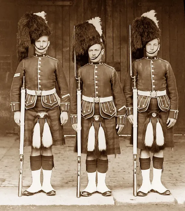 Framed Print : Queens Own Cameron Highlanders, British Army Framed Print : Queens Own Cameron Highlanders, British Army