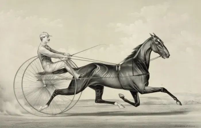 Framed Print : R. B. Conklings bay gelding Rarus, the King of Trotters: dri Framed Print : R. B. Conklings bay gelding Rarus, the King of Trotters: dri
