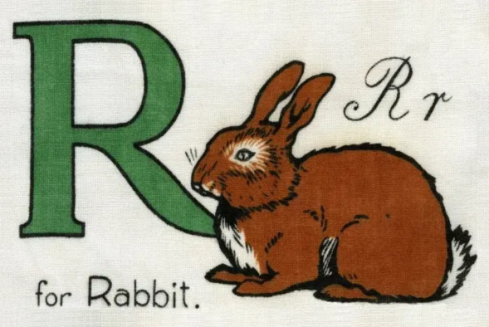 Framed Print : R for Rabbit Framed Print : R for Rabbit