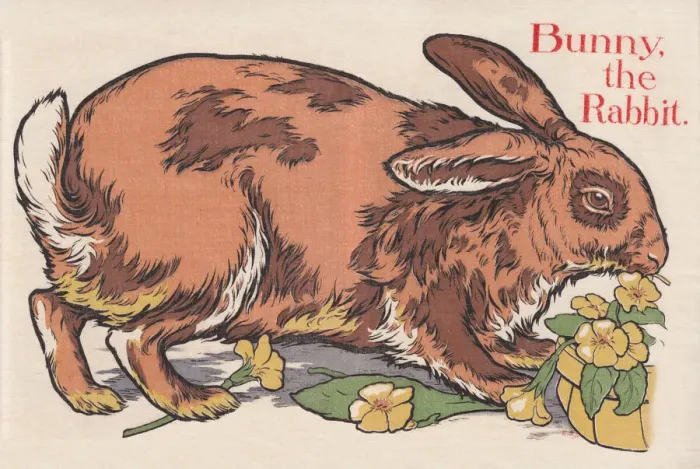Framed Print : Rabbit. An image depicting a rabbit. Artist: Edith Berkeley Framed Print : Rabbit. An image depicting a rabbit. Artist: Edith Berkeley