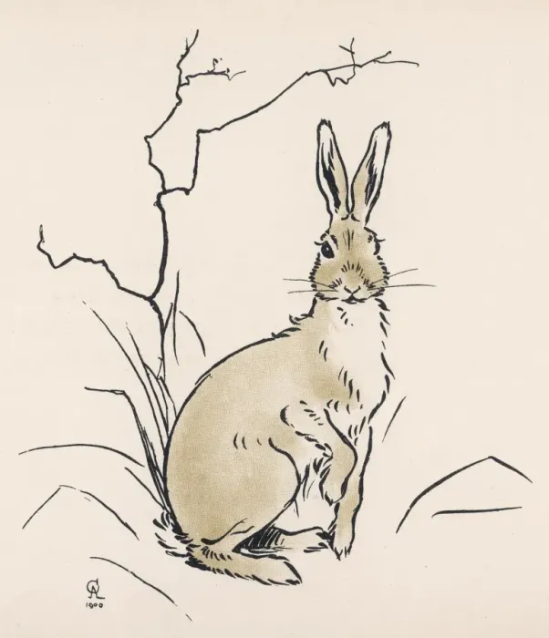 Framed Print : Rabbit Alert by Aldin Framed Print : Rabbit Alert by Aldin