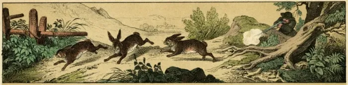 Framed Print : Rabbit hunting Framed Print : Rabbit hunting
