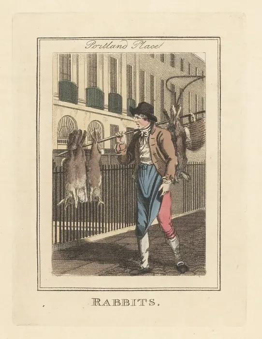 Framed Print : Rabbit seller in Portland Place, London, 1805 Framed Print : Rabbit seller in Portland Place, London, 1805