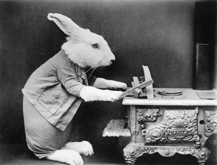 Framed Print : A Rabbit at the stove Framed Print : A Rabbit at the stove