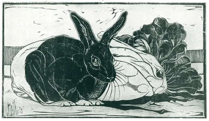 Framed Print : Rabbits. This woodcut shows a pair of contrasting white