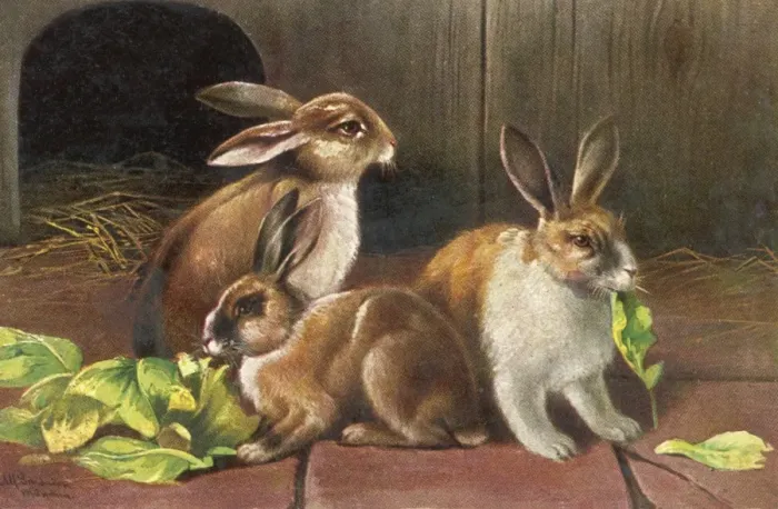 Framed Print : Rabbits & Green Leaves Framed Print : Rabbits & Green Leaves