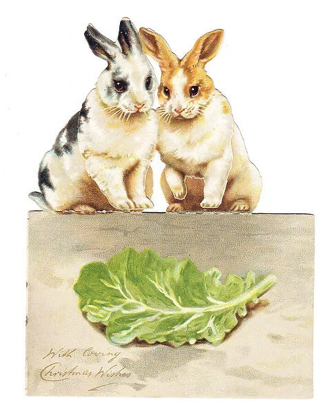 Two rabbits with lettuce on a cutout Christmas card