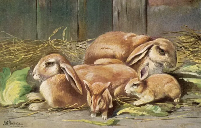 Framed Print : Rabbits with Young 1905 Framed Print : Rabbits with Young 1905