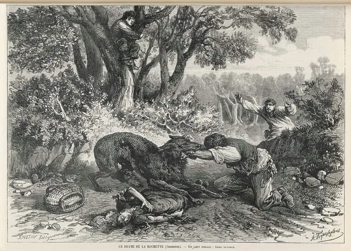 Framed Print : RABIES / BITTEN / LIS / 1874 Framed Print : RABIES / BITTEN / LIS / 1874