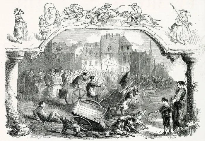 Framed Print : A race between dog-hauled carts takes place at Brussels, Belgium - but not all the contestants make it to the finishing line. Date: 1858 Framed Print : A race between dog-hauled carts takes place at Brussels, Belgium - but not all the contestants make it to the finishing line. Date: 1858