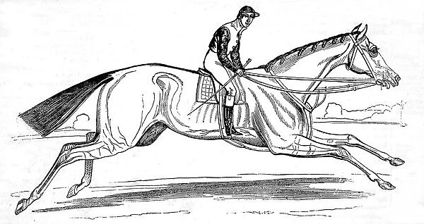 The Racehorse Beeswing, 1842