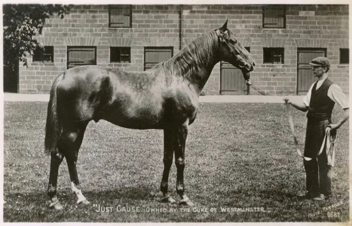 Framed Print : Racehorse Just Cause owned by the Duke of Westminster Framed Print : Racehorse Just Cause owned by the Duke of Westminster