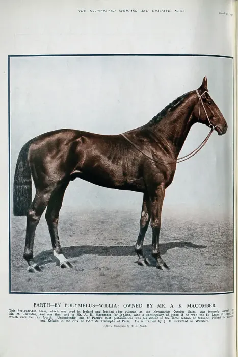 Framed Print : The Racehorse Parth Framed Print : The Racehorse Parth
