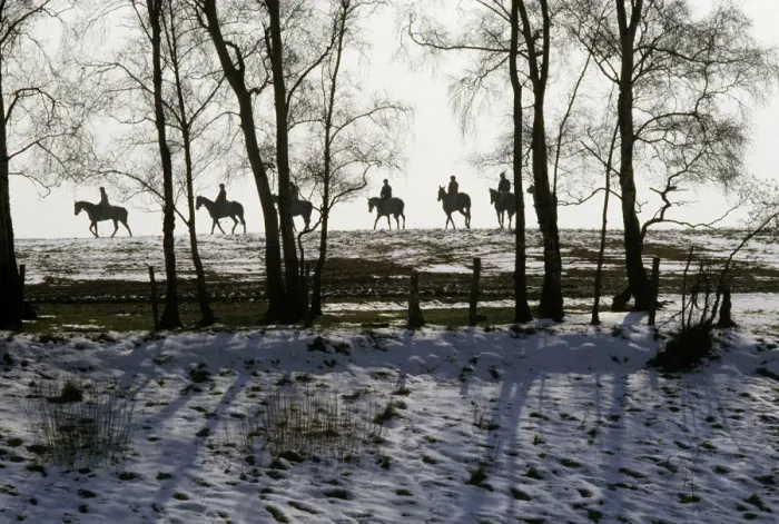 Framed Print : Racehorses exercising in the snow, Staffordshire, England Framed Print : Racehorses exercising in the snow, Staffordshire, England