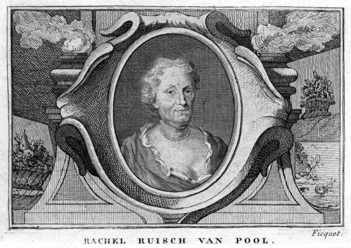 Framed Print : Rachel Van Pool Framed Print : Rachel Van Pool
