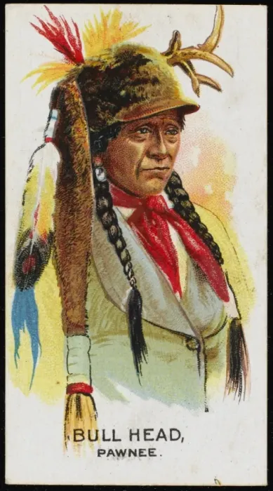 Framed Print : Racial / Bull Head / Pawnee Framed Print : Racial / Bull Head / Pawnee
