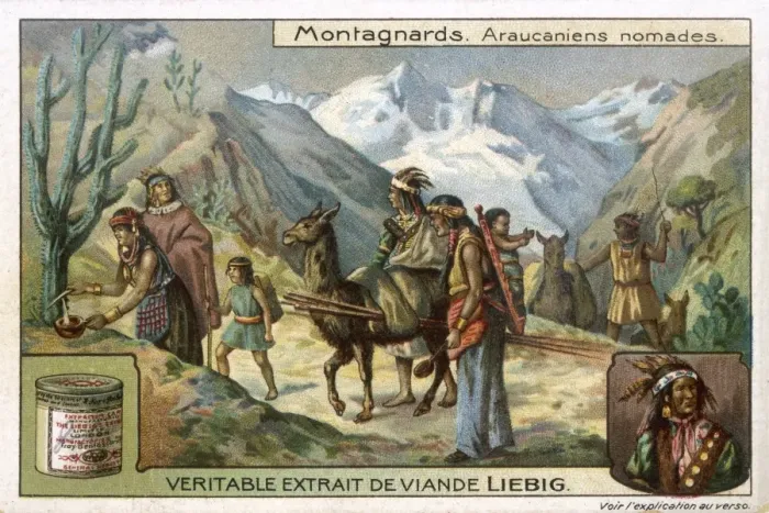 Framed Print : Racial / Chile / Araucanian Framed Print : Racial / Chile / Araucanian