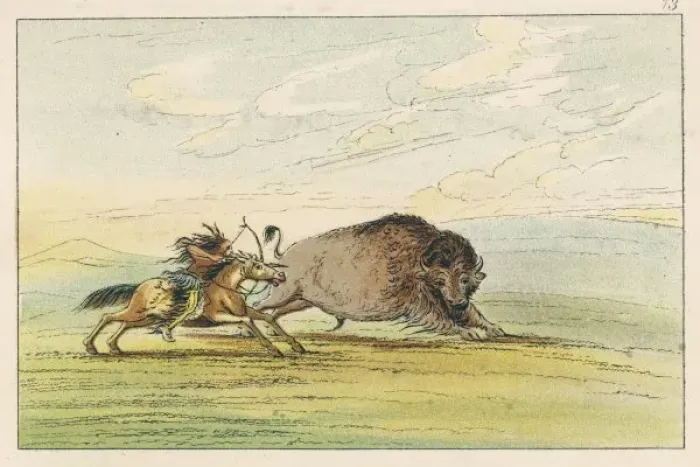 Framed Print : Racial / Hunting Buffalo Framed Print : Racial / Hunting Buffalo