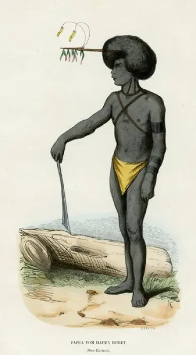 Framed Print : Racial / New Guinea Native Framed Print : Racial / New Guinea Native