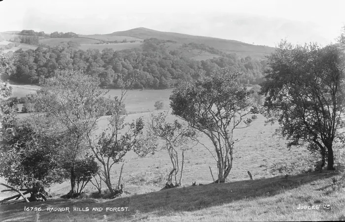 Framed Print : Radnor Hills and Forest Framed Print : Radnor Hills and Forest